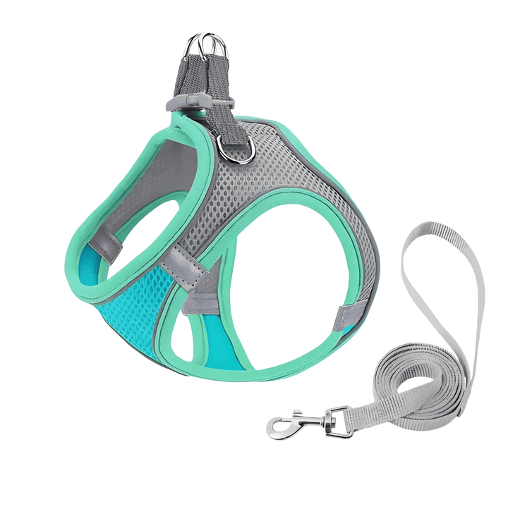 Secure unisex cat harness for safe outdoor activities. Adjustable straps for a perfect escape-proof fit.