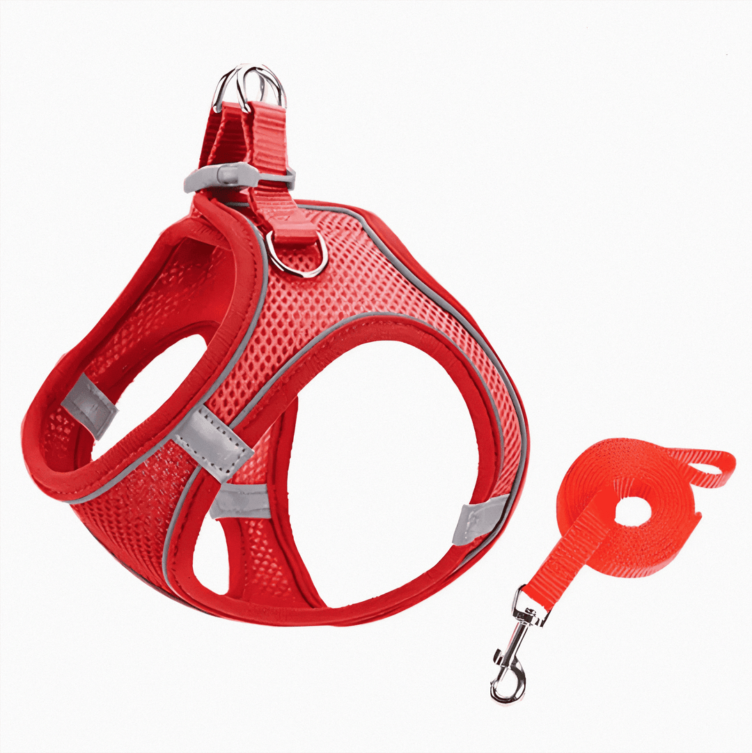 Stylish & functional escape-proof cat harness. Essential feline gear for safe walks & outdoor exploration.