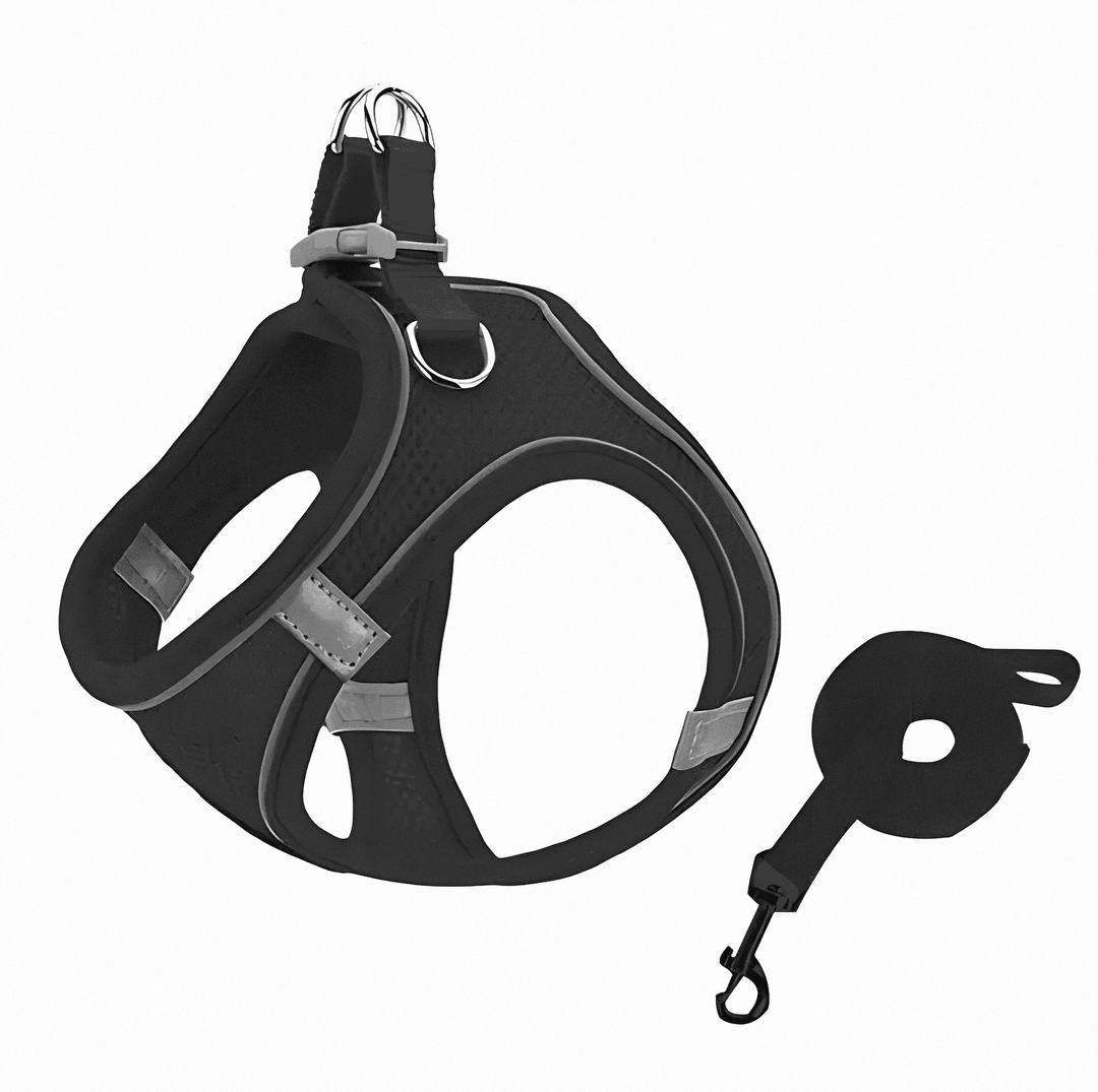 Pet safety first: escape-proof cat harness, fully adjustable for comfortable outdoor adventures & walking.