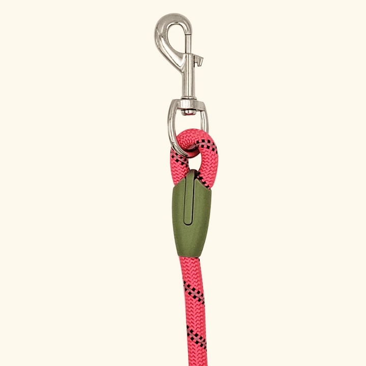 High-quality reflective hands-free dog leash designed for active owners and their pets.