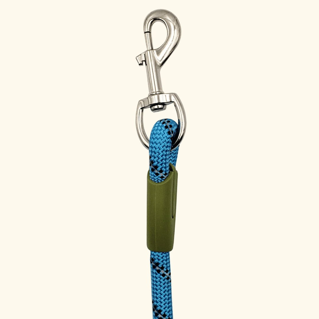 Ergonomic reflective hands-free leash provides comfort for running and walking with your dog.