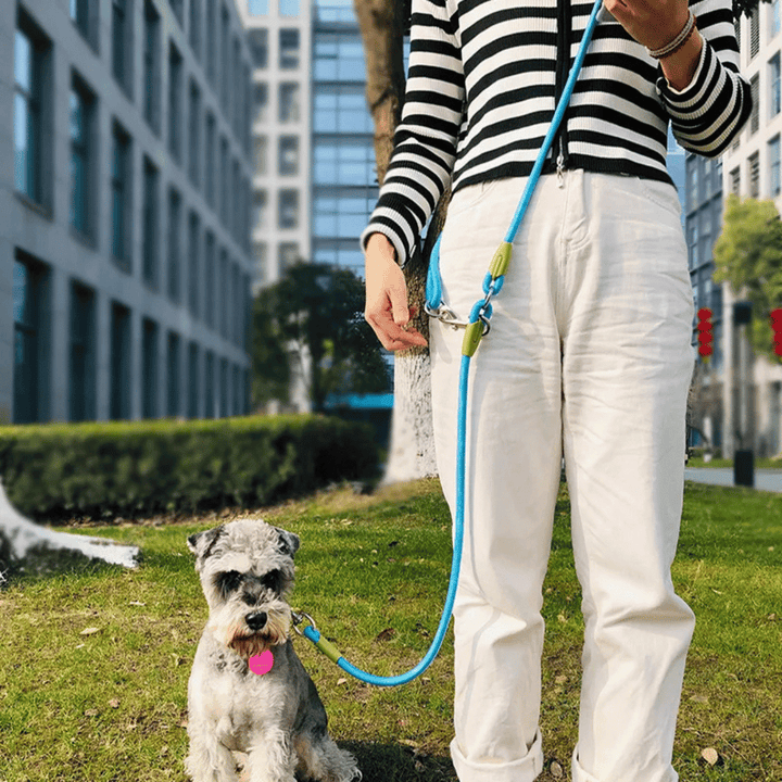 Essential reflective hands-free dog leash for safe night running and evening walks.