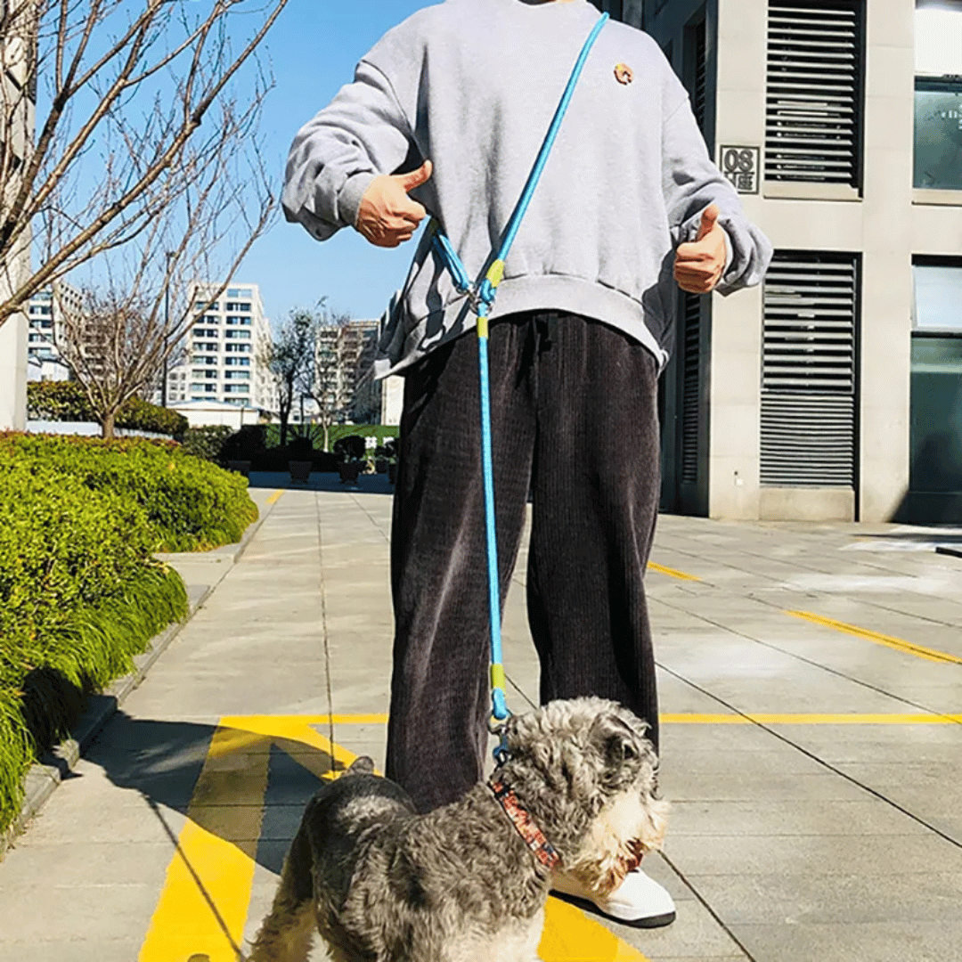 Ideal hands-free reflective dog leash for an active lifestyle with your furry companion.