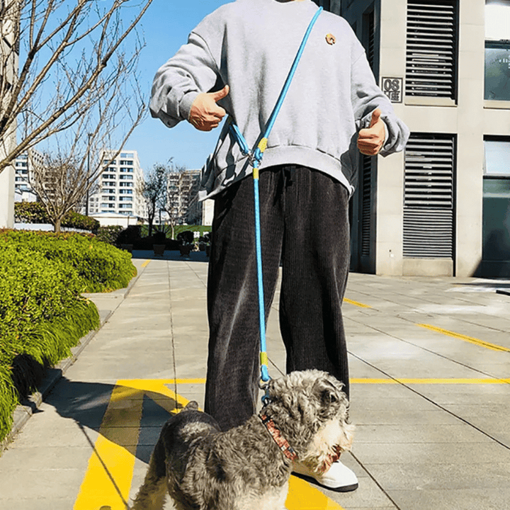 Ideal hands-free reflective dog leash for an active lifestyle with your furry companion.