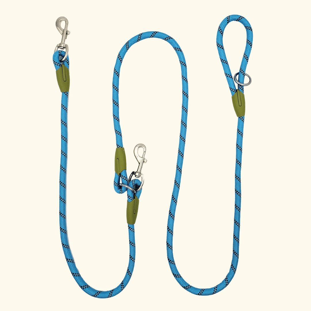 Hands-free reflective leash aiding dog training while walking or running with your pet.