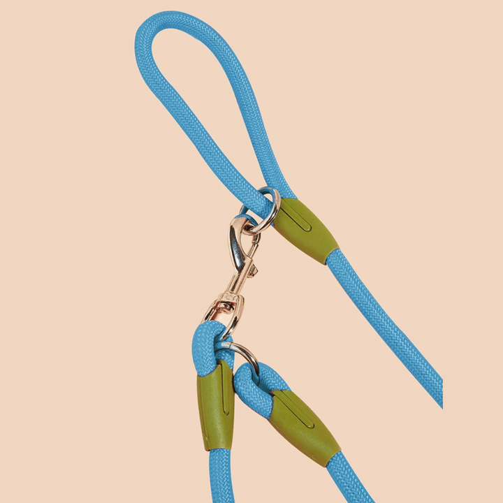 All-weather reflective hands-free dog leash, great for running and walking in any condition.