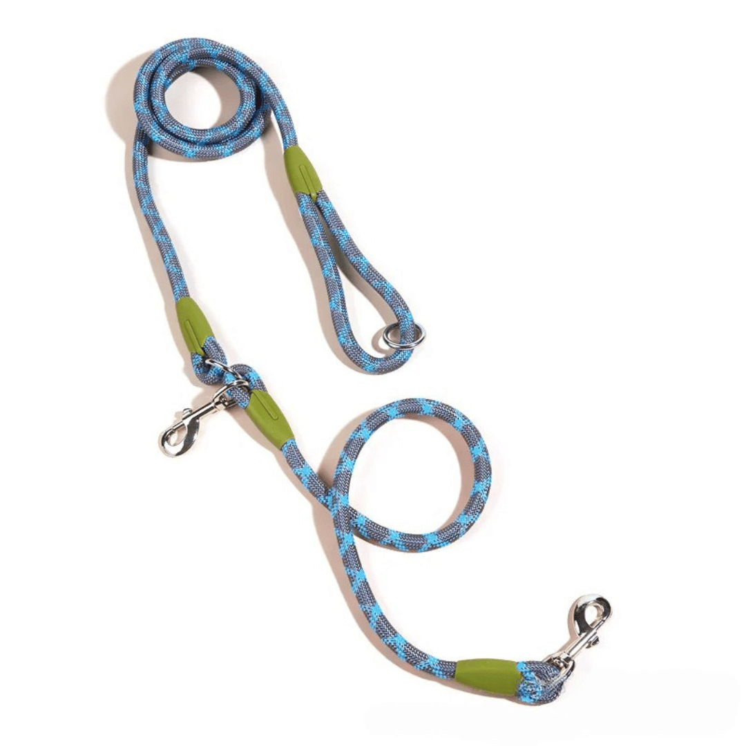 Shock-absorbing bungee dog leash, hands-free for running, walking, and training pets.