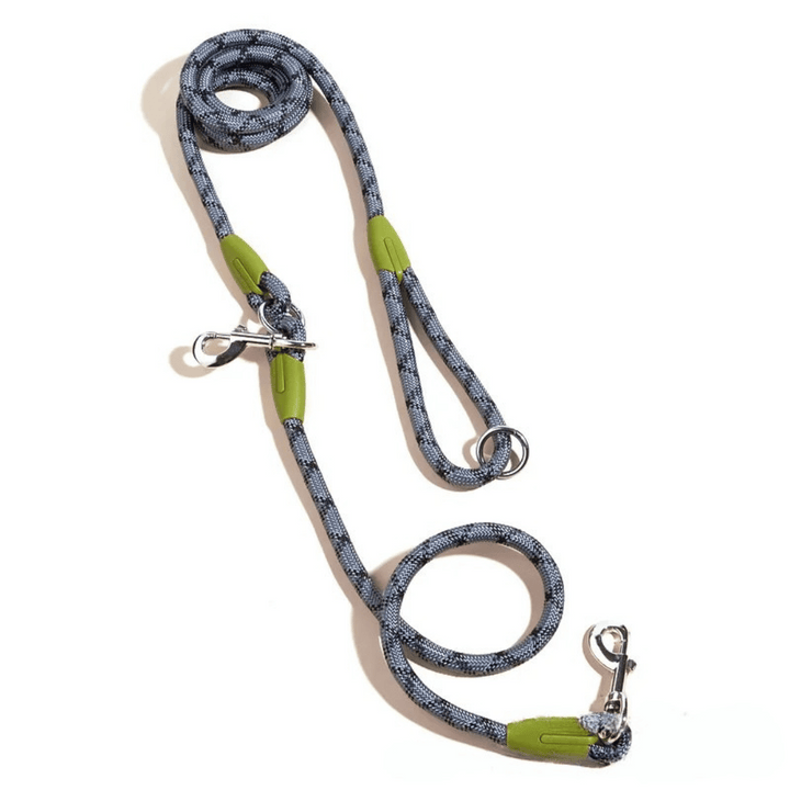 Dog happily walking on a reflective hands-free leash with its owner.