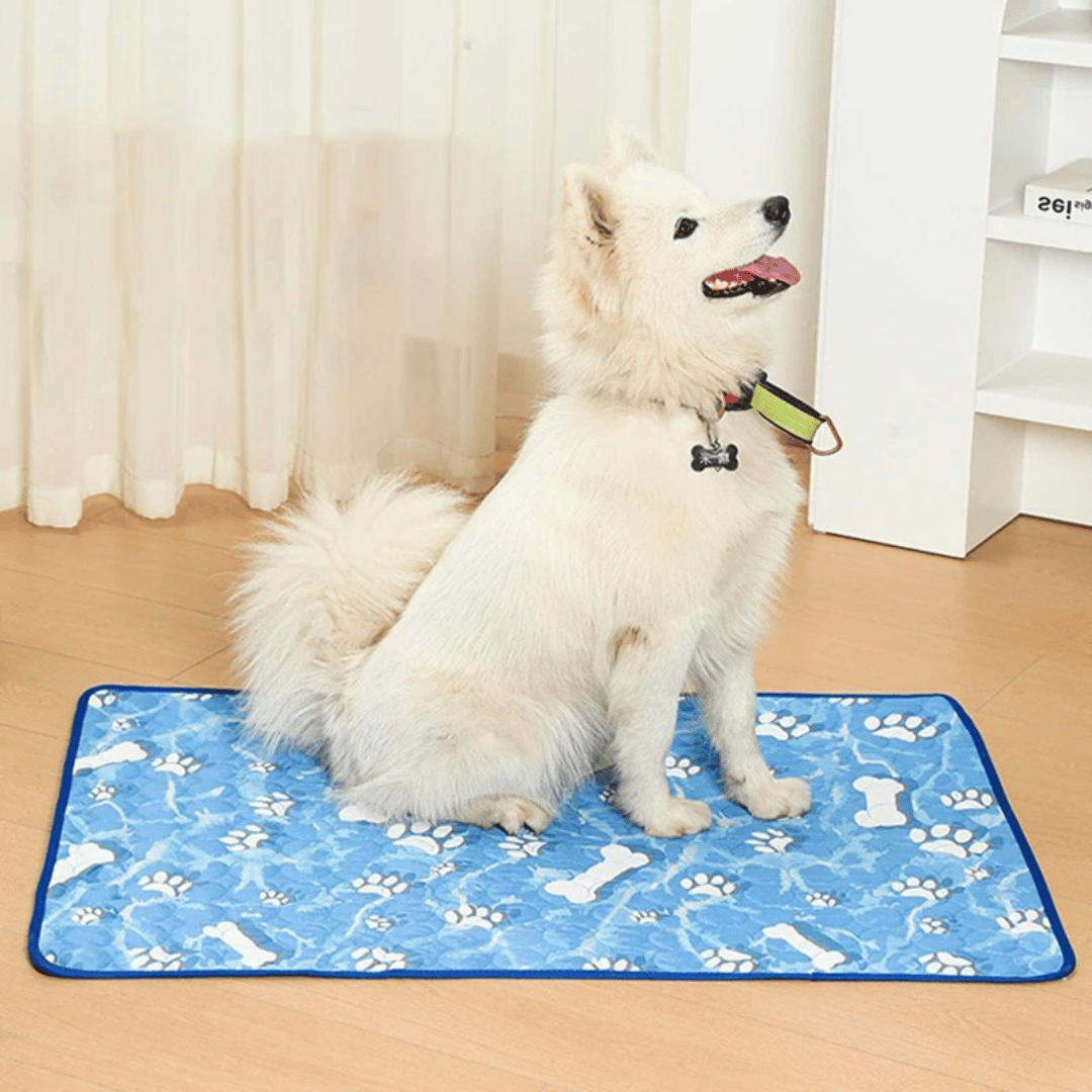 Cat cooling mat made with ice silk. Provides instant heat relief, a washable and cool pad for hot pets.