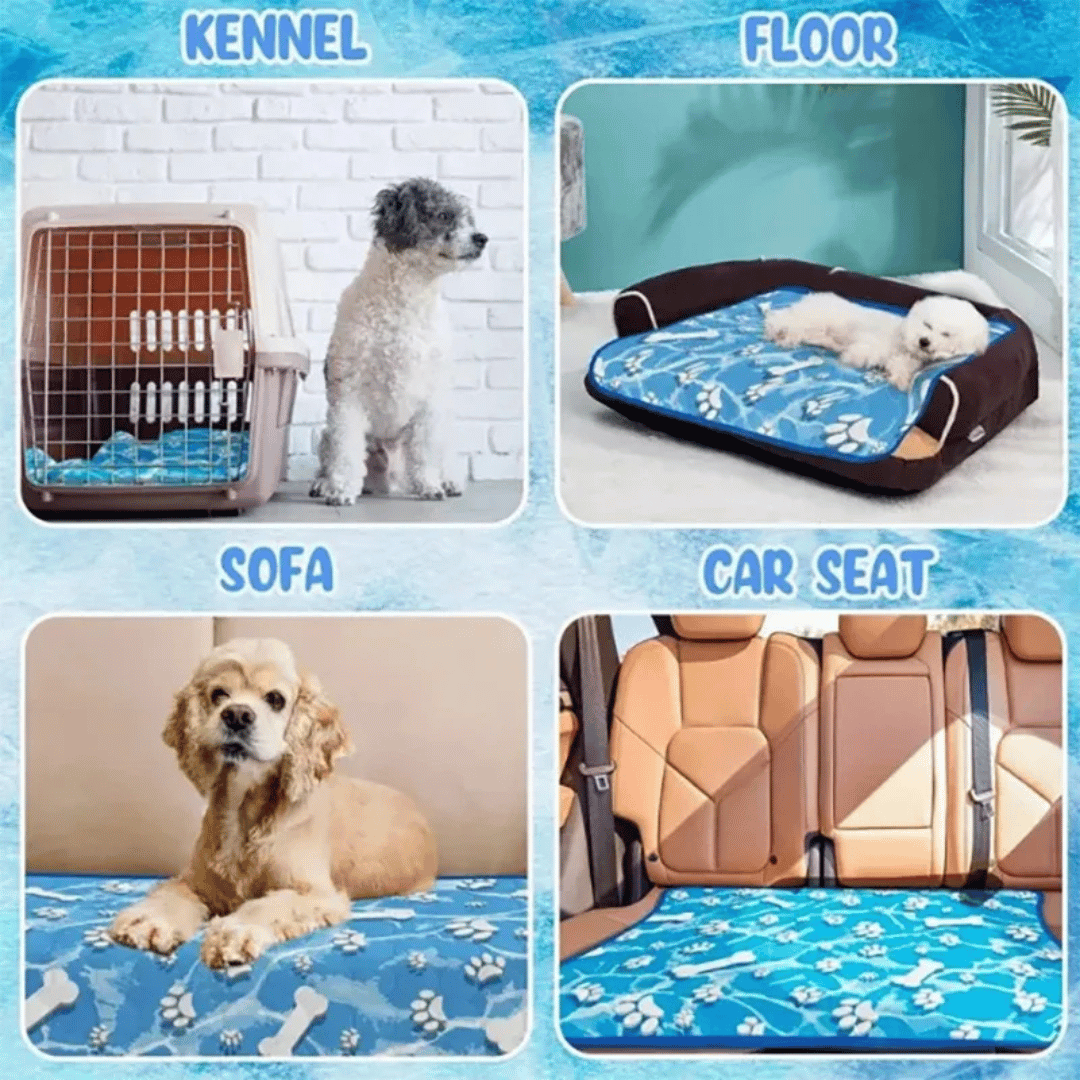 Keep your dog or cat cool with this self-cooling pet mat. Offers instant heat relief & comfort for summer pets.