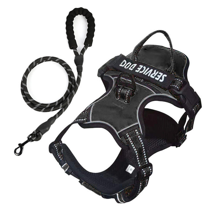 Comfortable Y-shape dog harness with custom name, ensuring secure pet walks.