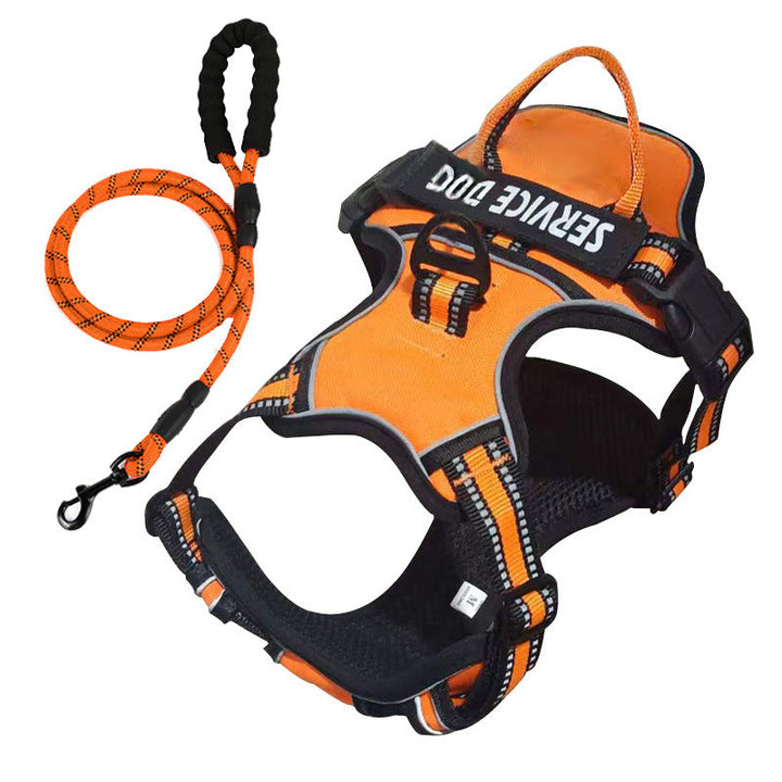 Reflective personalized dog harness, perfect for safe night walks & daily use.