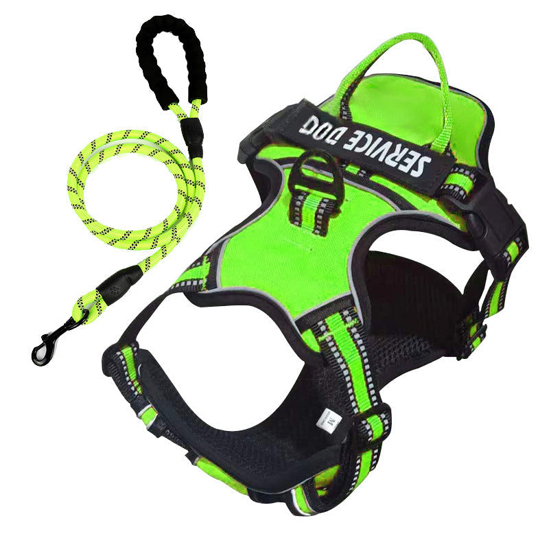 No-pull personalized dog harness, Y-front design for comfort & control on walks.