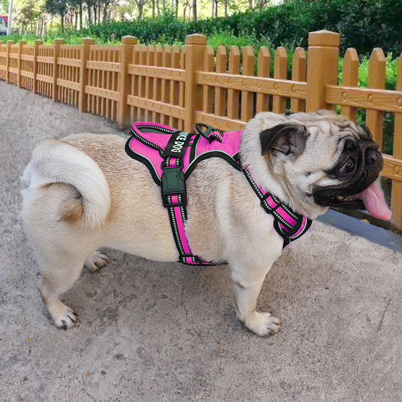 Reflective no-pull dog harness, customizable with pet's name for safe night walks.