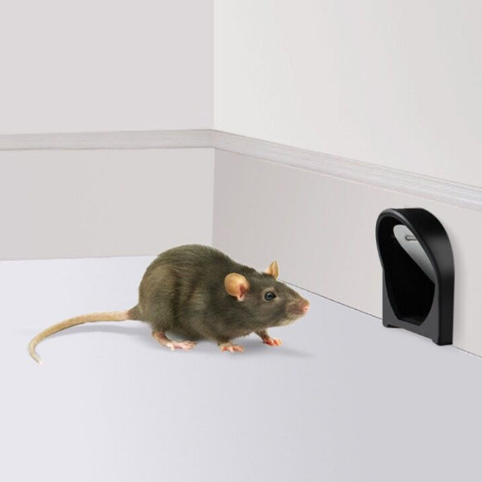 Effective non-lethal rat trap cage for humane pest control.