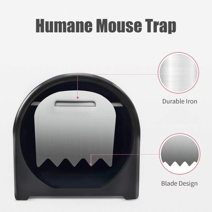 Indoor pest control: humane rat trap cage for home defense.