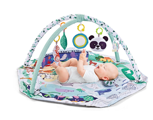 Vibrant baby activity play mat with detachable sensory toys & activity gym for infant development and early learning.