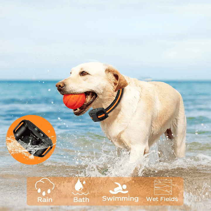Durable waterproof e-collar with remote for dog training, outdoor adventures, and behavior correction.