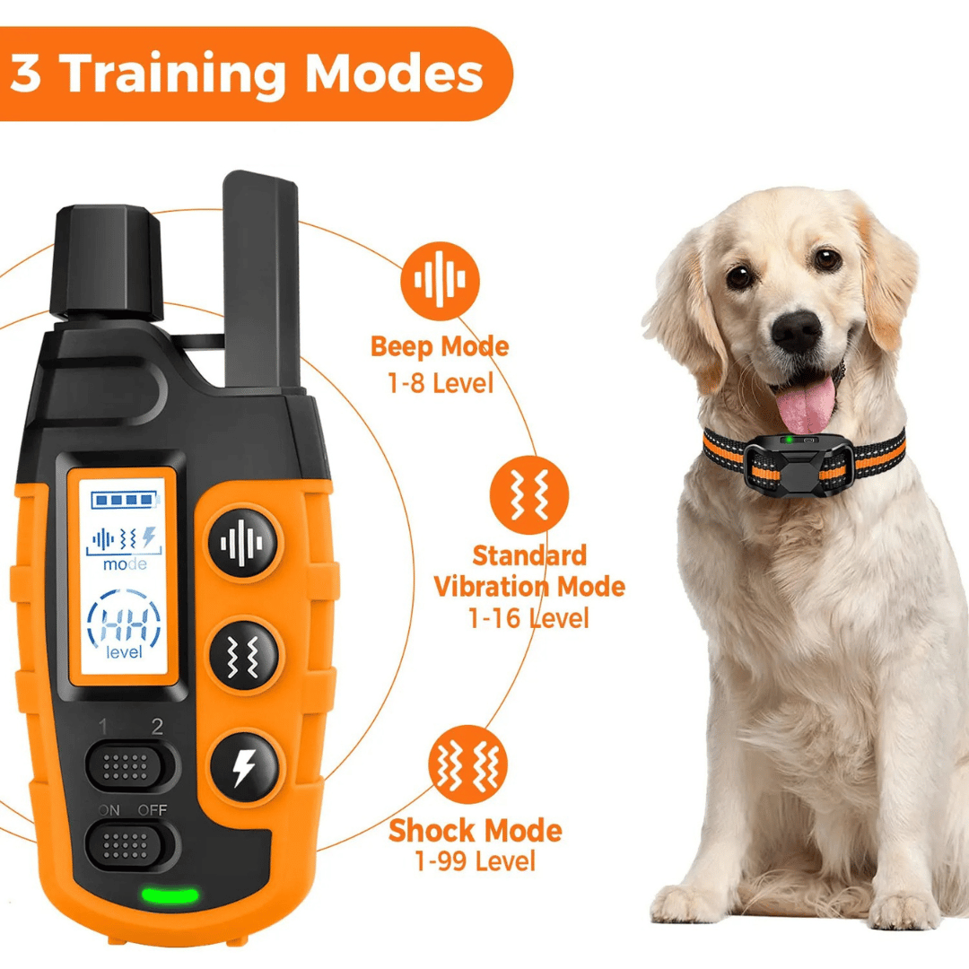Outdoor dog training collar, waterproof & rechargeable for reliable remote obedience and freedom.
