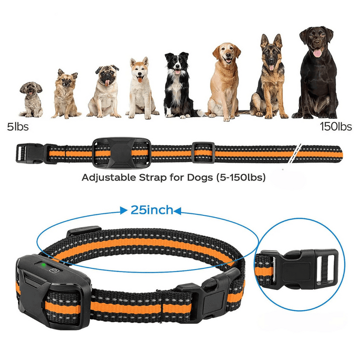 Professional waterproof e-collar for dog training, ensures effective obedience, safety, & discipline.