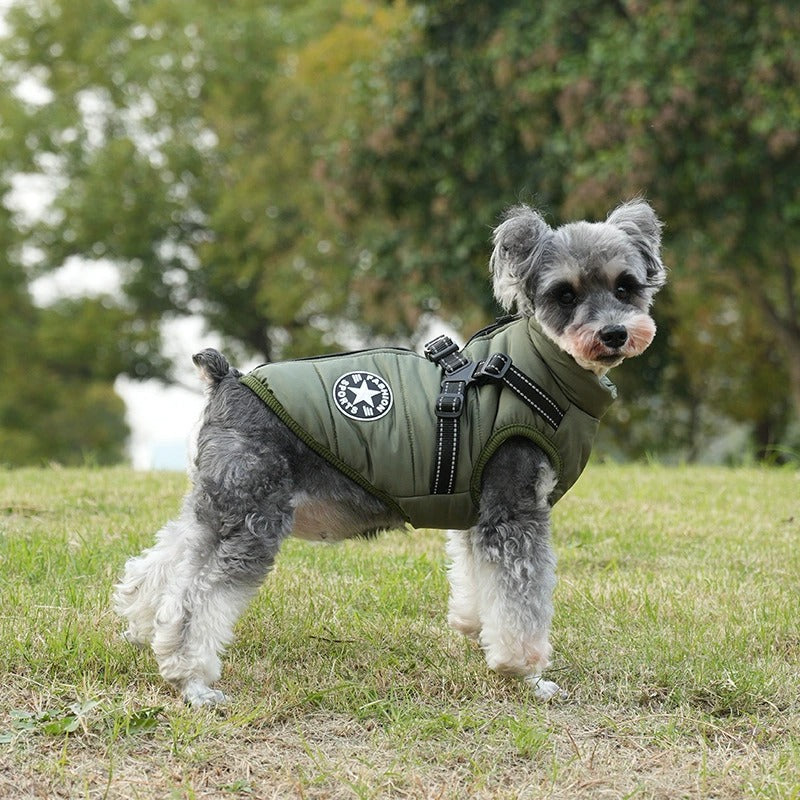 Waterproof winter dog jacket with built-in harness, perfect for cold weather walks.