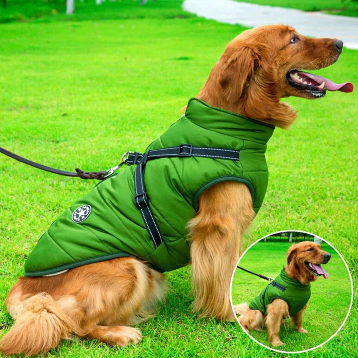 Protective waterproof dog coat with integrated harness, ideal pet apparel for winter & cold weather outdoor use.