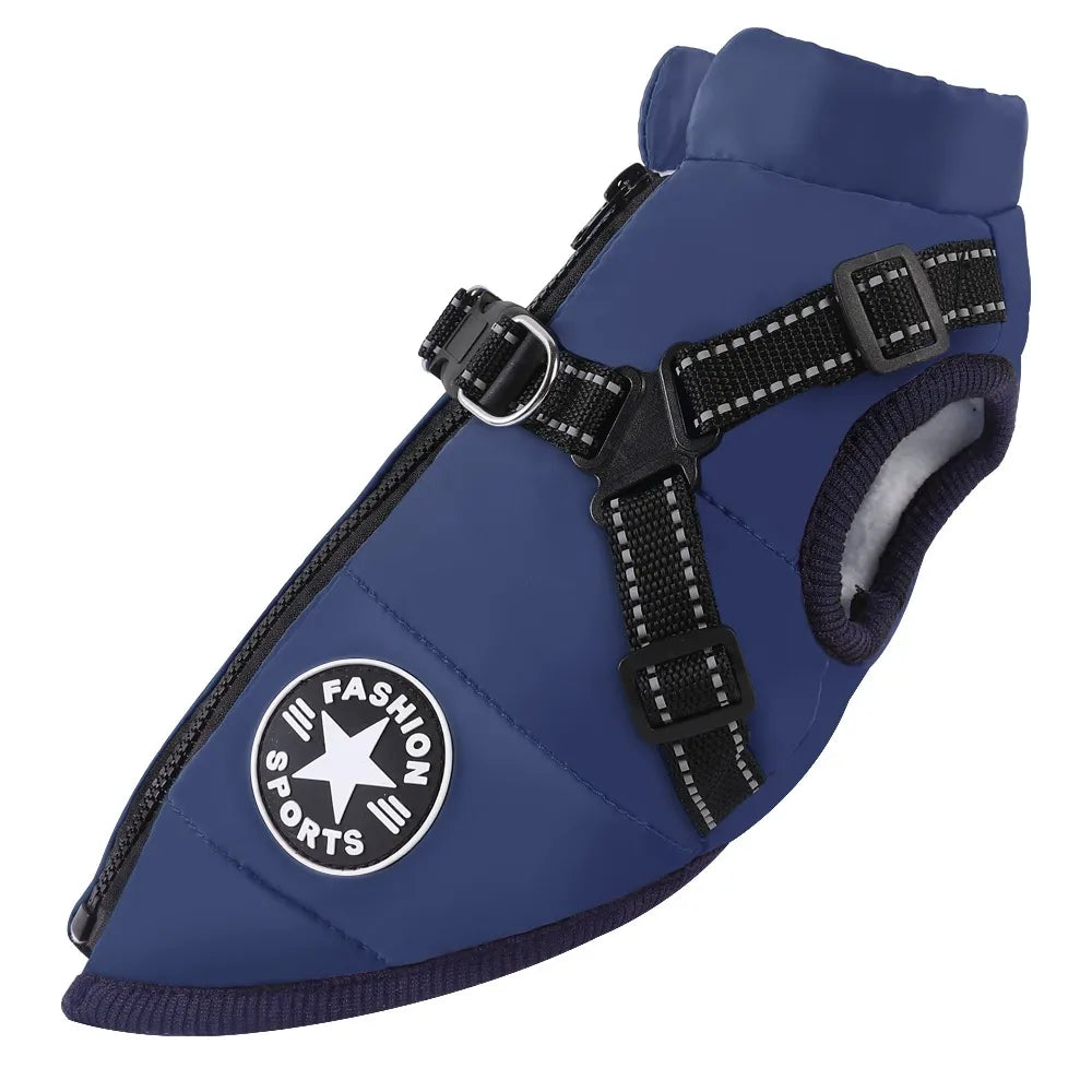 Small dog winter jacket with integrated harness, waterproof for chilly weather.