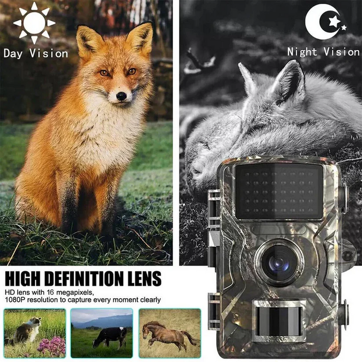 Unisex outdoor wildlife camera with reliable night vision & weatherproof design.