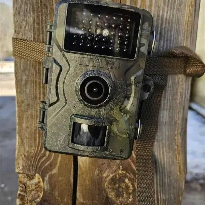 Durable wildlife camera for animal tracking, featuring night vision & HD video.