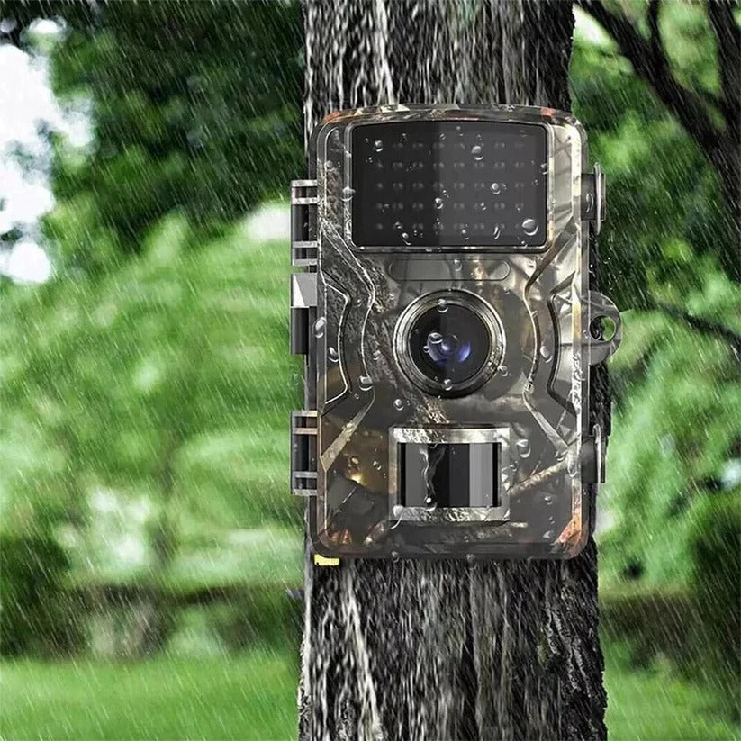 Motion-activated outdoor camera with night vision, perfect for nature observation.