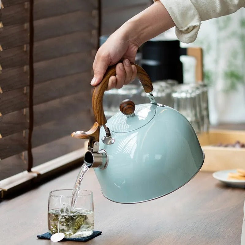 Durable stainless steel whistling kettle with insulated handle, perfect for induction & all kitchen stovetops.