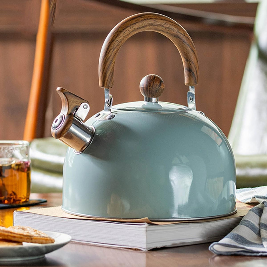 Premium stainless steel whistling tea kettle with an insulated handle, ideal for hot drinks on any stovetop.
