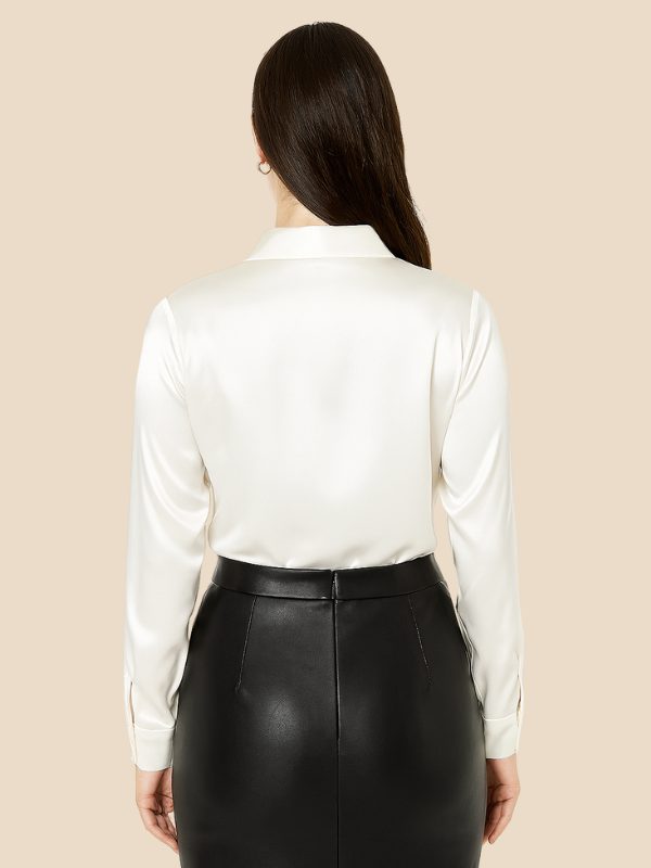 Polished women's long-sleeve shirt, a classic button-down blouse with a sophisticated pointed collar.