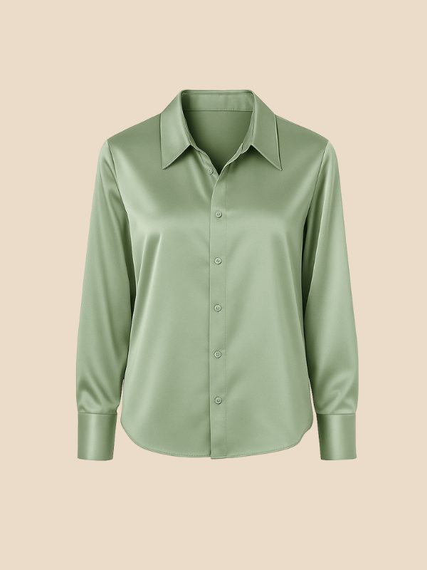 Women's polished button-down, a long-sleeve blouse with a classic pointed collar for professional look.