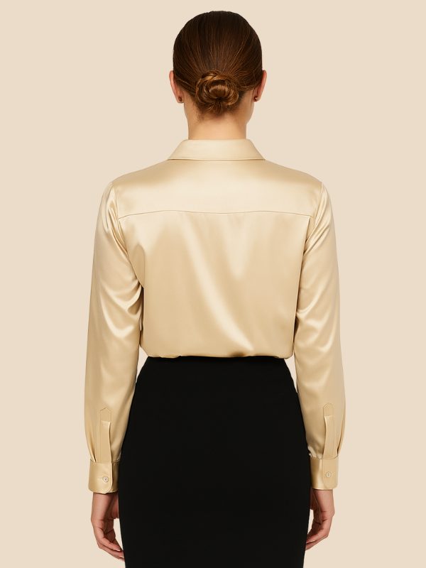 Women's classic pointed collar shirt, a polished button-down long-sleeve for elegant daily wear.