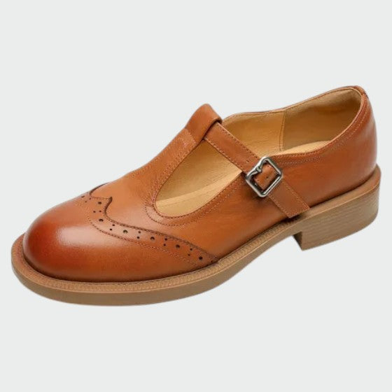 Stylish brown vintage Mary Jane flats, elegant women's retro footwear.