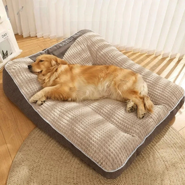 XXL orthopedic dog bed for large dogs, providing joint support & comfort.